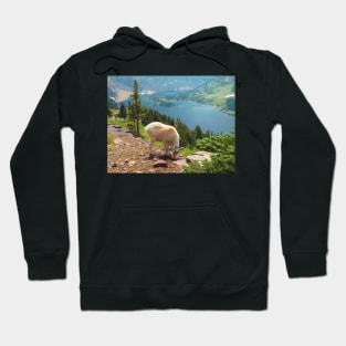 At the Top of the World Hoodie